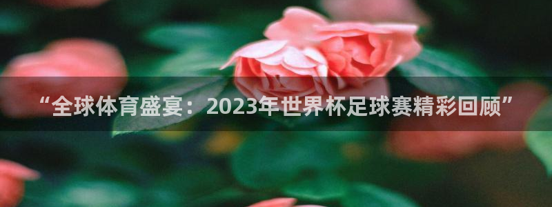 梦想国际pg怎么下载软件：“全球体育盛宴：2023年世界杯足球赛精彩回顾”