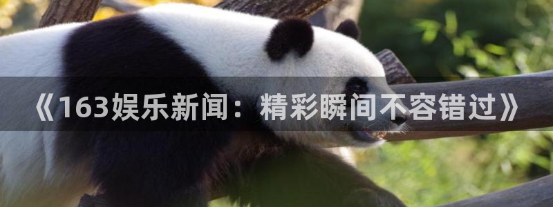 梦想国际登录：《163娱乐新闻：精彩瞬间不容错过》