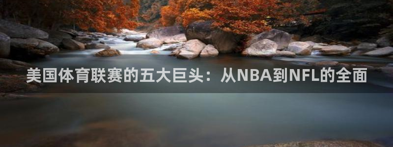 梦想之路游戏官网：美国体育联赛的五大巨头：从NBA到NFL的全面